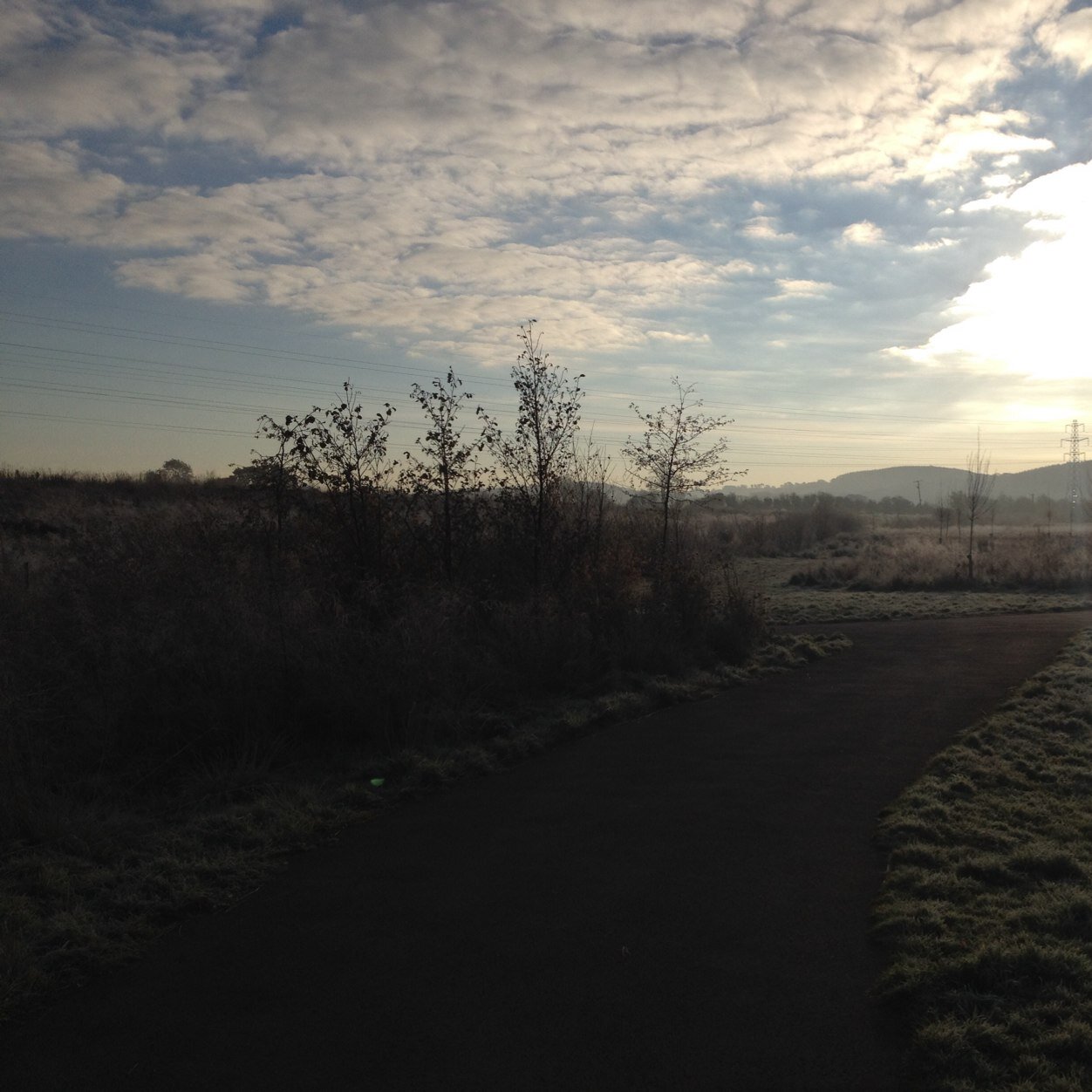 Ady_Badman's profile picture. 