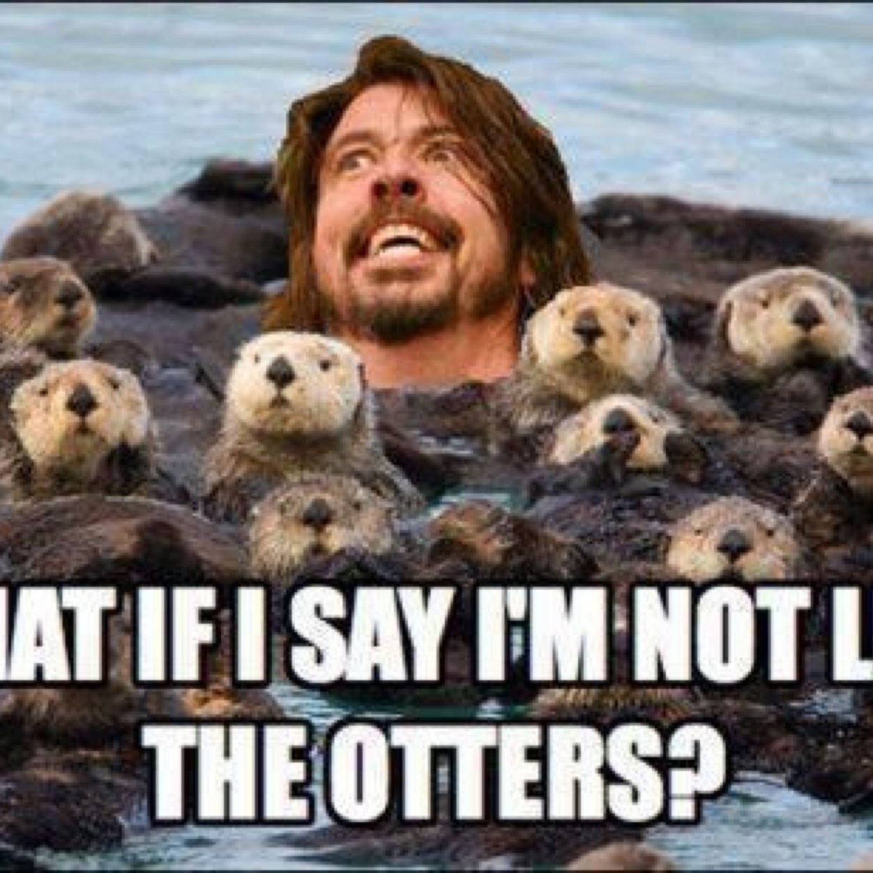 TweetDsposition's profile picture. I'm a simple man.  I like pretty, dark-haired women and breakfast food.