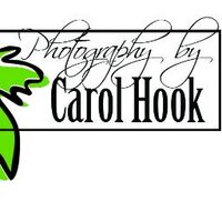 Carol Hook - @PhotographyHook Twitter Profile Photo