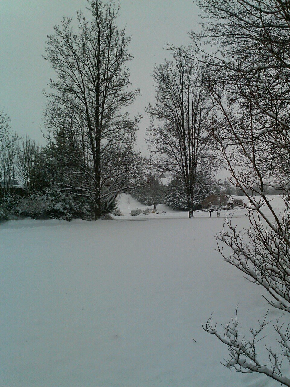 usnavycmc's profile picture. Retired Masterchief. Weapons Specialist.