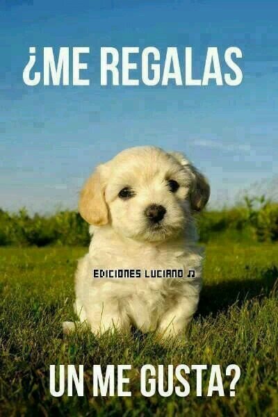 cualquier cosa de one direction
