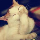 فارس المطيري (@1978_xx) Twitter