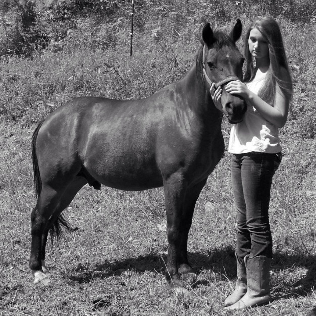 I'm homeschooled through Crooksville Highschool. I love horses!  I have the beat family in the world. 606-217-1705 snapchat- cheynicole01