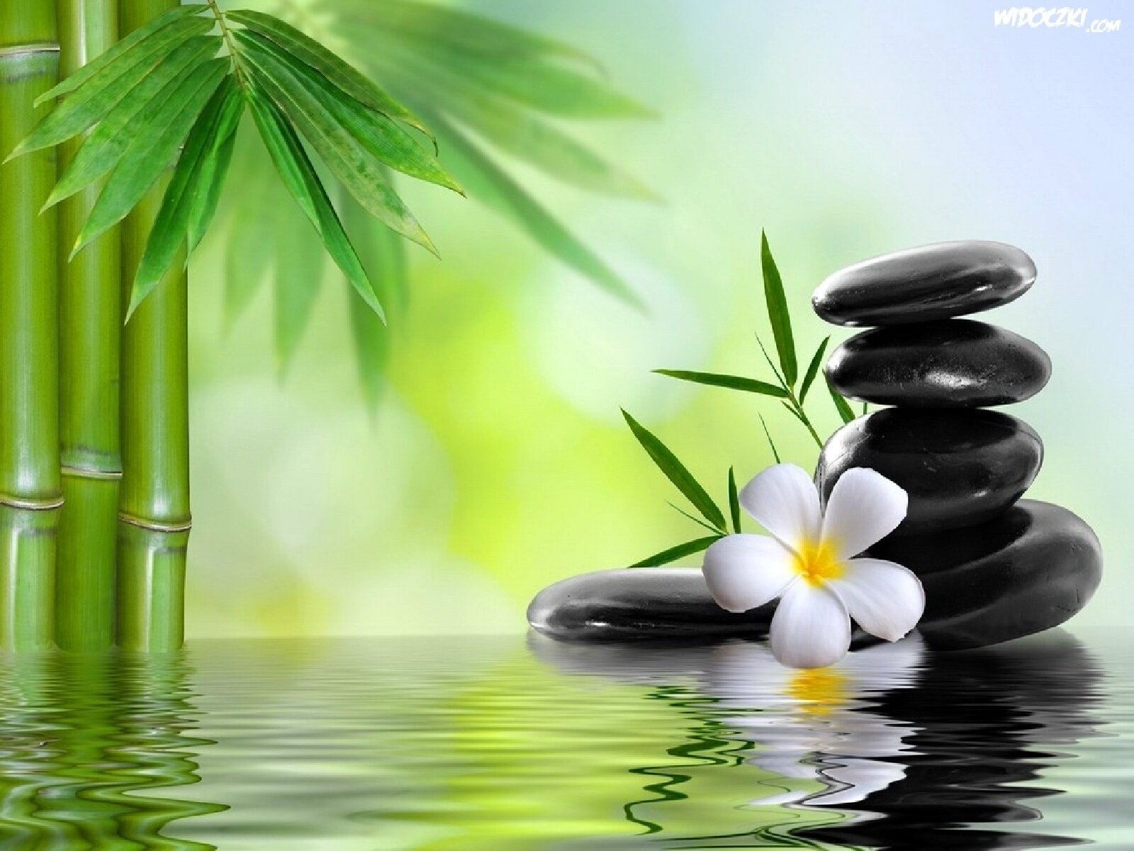 Cryo-U & K Ltd offers local cryotherapy treatments and massages.