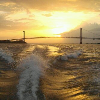 EUCARISDIC's profile picture. Lcda en Administración de Empresas y Contador Publico Msc en Gerencia de Producción Amante de los animales