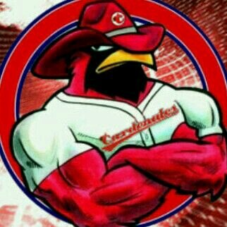 cardenales de lara ... deportivo lara... guaros de lara... 100% Guaro