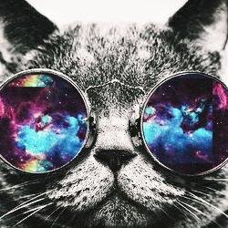 Casual and Competitive Call Of Duty Player.                             Xbox GT: Vexafy