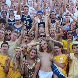 1 picture, 140 characters, 1story/ Capstone by Conner Schumacher