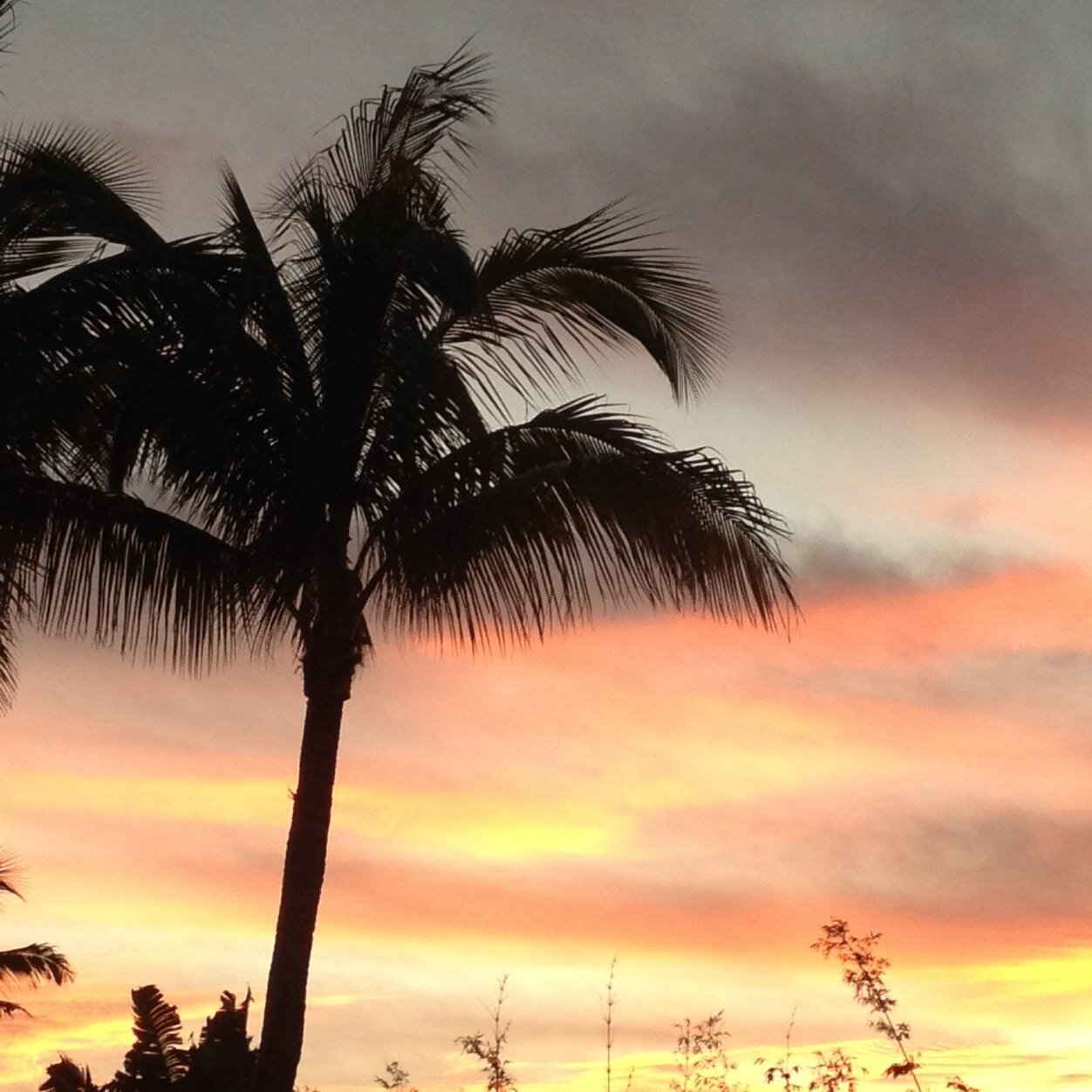 riviez3's profile picture. We must stand together. That's when we all win.