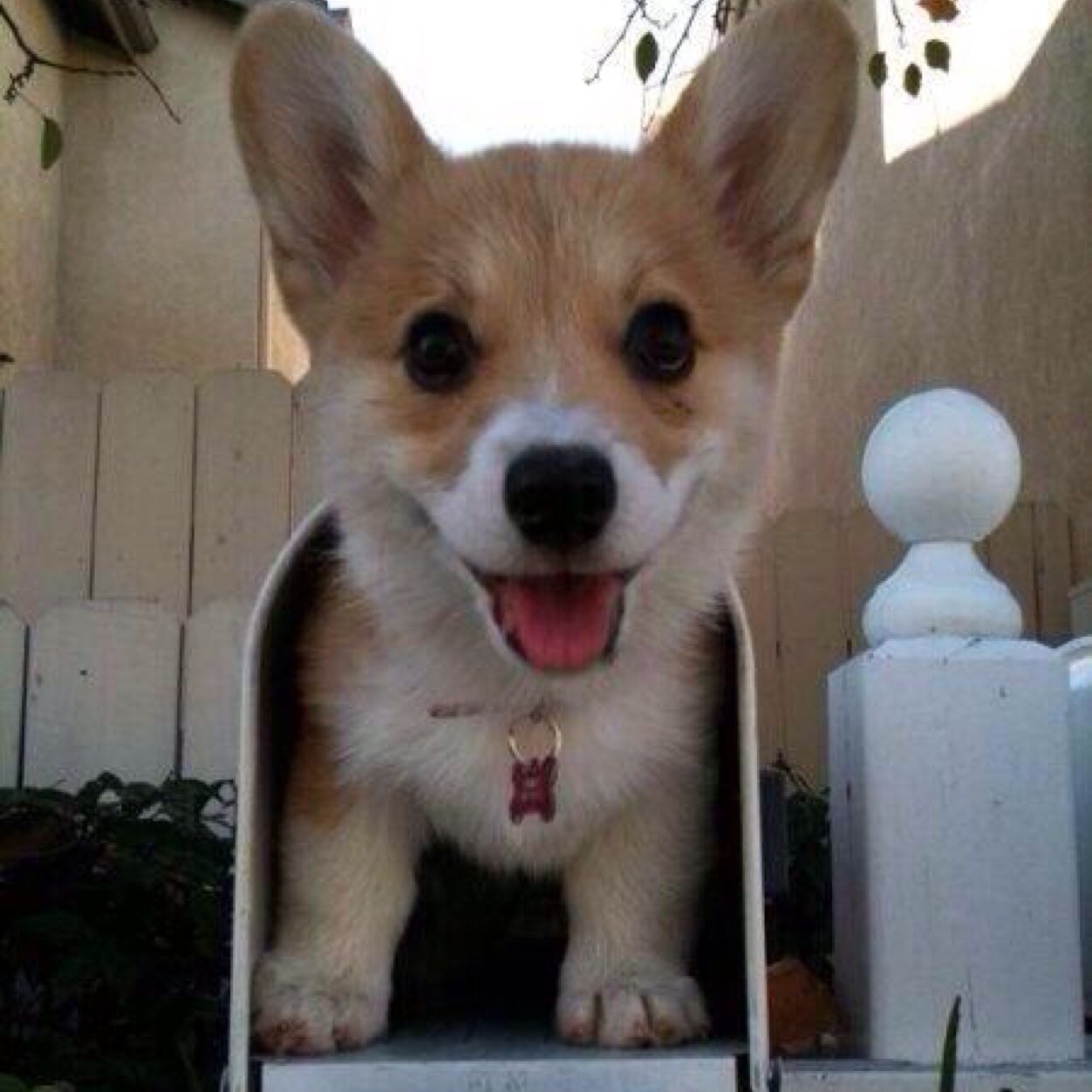 SWAGHlLl's profile picture. Uhhh free follow @flashbuIbeyes