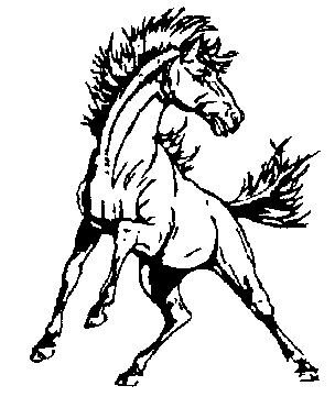 Mayfield Junior School Athletics