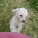 edith barrientos - @editbarredit - Twitter