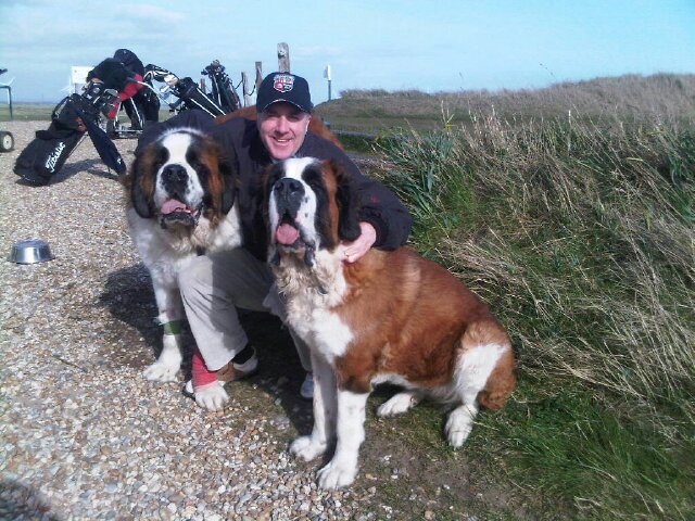 mjwsox1's profile picture. 