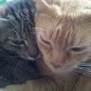 Aurora Rubio Mata - @armluna19 - Twitter