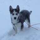 David Griffy - @dgriffy25 - Twitter