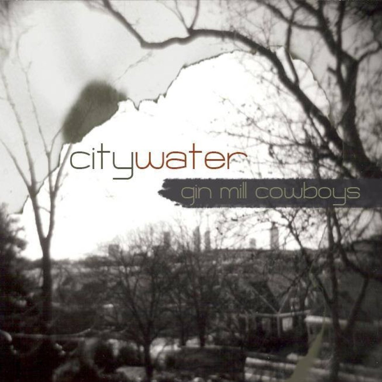 CityWaterBand Profile Picture