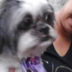 eaii minha gente feliz ano novo vai começar tudo de novo  *amo vcs* *--*