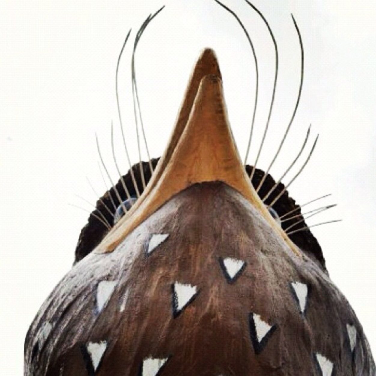 1era y ÚNICA cuenta OFICIAL. En el idioma indígena la palabra Caripe significa río de ardillas. Es un pueblo ubicado en el Edo Monagas. Instagram pueblocaripe