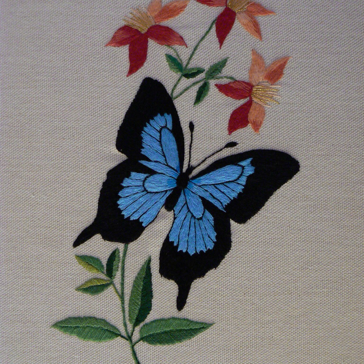 BRODELIANCE's profile picture. #BRODELIANCE : #Peintureàlaiguille, #pointcompté, #frivolité