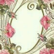 frialabash1's profile picture. 