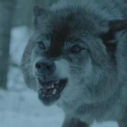 intoit4u's profile picture. 