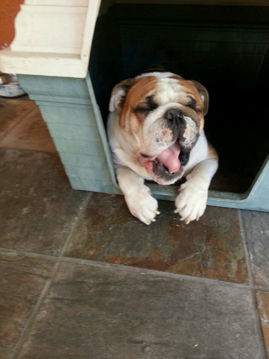 kcorona91's profile picture. 