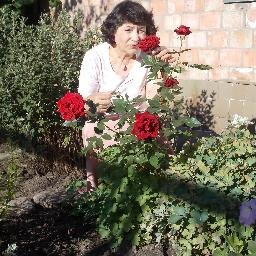 _7968009309241's profile picture. 