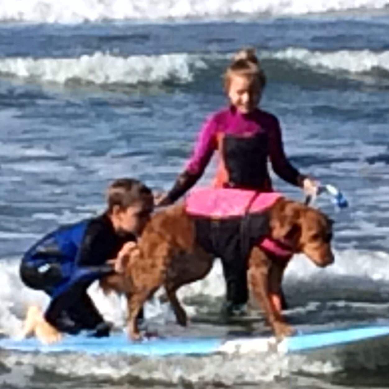 ReeseWest's profile picture. 