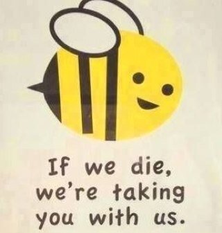 frk_Hernes's profile picture. Passionate about green cities and clean air, and the Portuguese language.