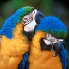 olgsidorkin's profile picture. Люблю жизнь, свою семью и своих друзей!!!