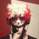 Nick Purdy - @trojan_horse_np - Twitter