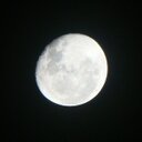 Denise Conte - @DeniseConteVet - Twitter