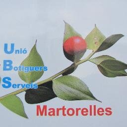 UNIO DE BOTIGUERS I SERVEIS DE MARTORELLES