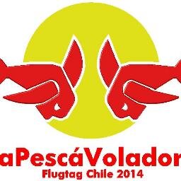 #lapezcavoladora esta diseñada para romper todos los records mundiales del Flugtag.
Representando a @Valparaiso en #FlugtagChile 2014.