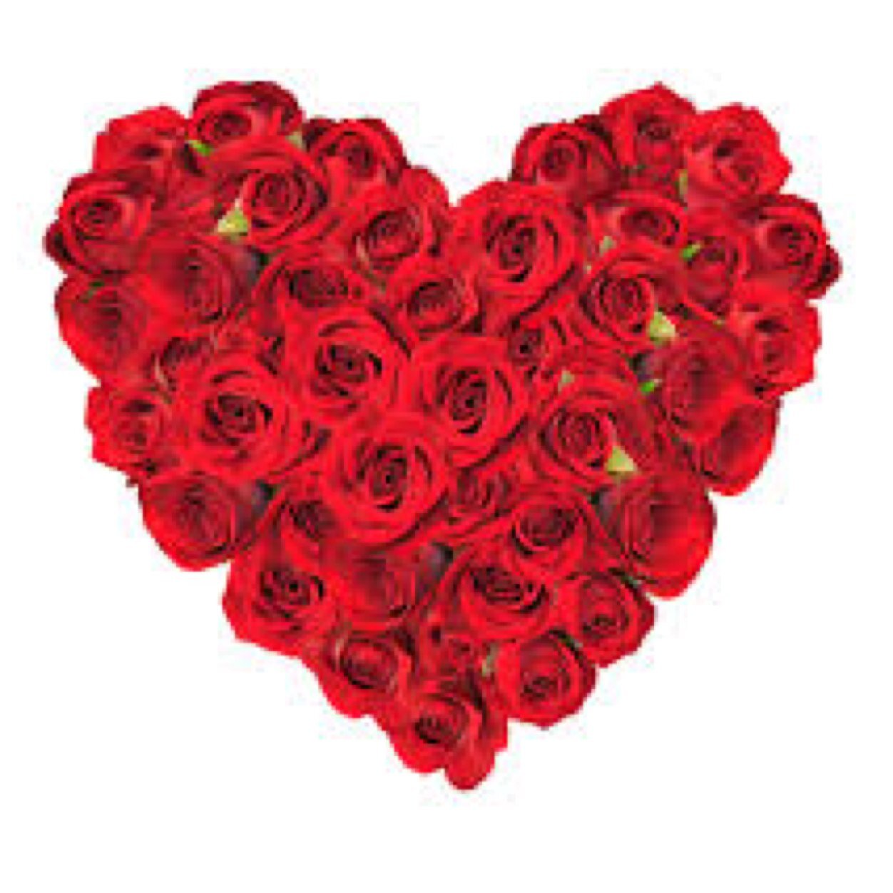 Paquitos celebrad un San Valentin con estilo regalando claveles a quienes apreciais