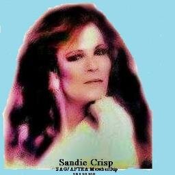Sandie Crisp Sandiecrisp Twitter