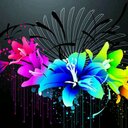 hailey shaw - @haileyshaw16 - Twitter