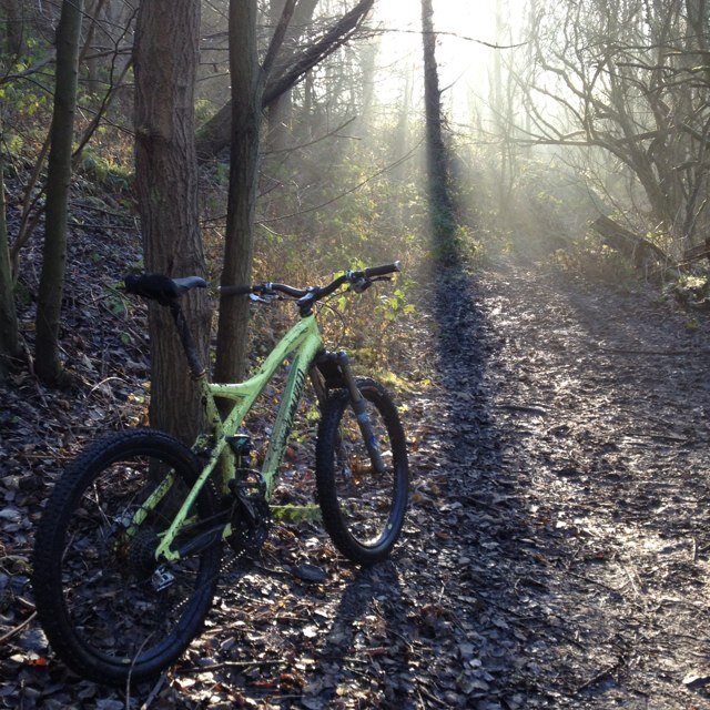 gauky17's profile picture. 