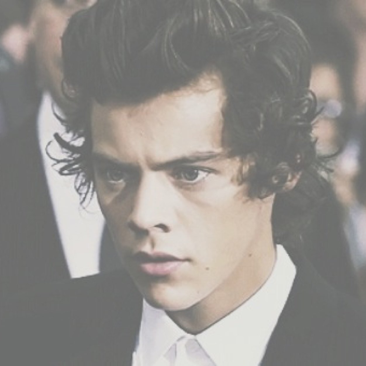 perkystyIes's profile picture. ☹but you're not in a band☹