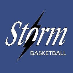 Competitive Girls Basketball Grades 4th-8th.