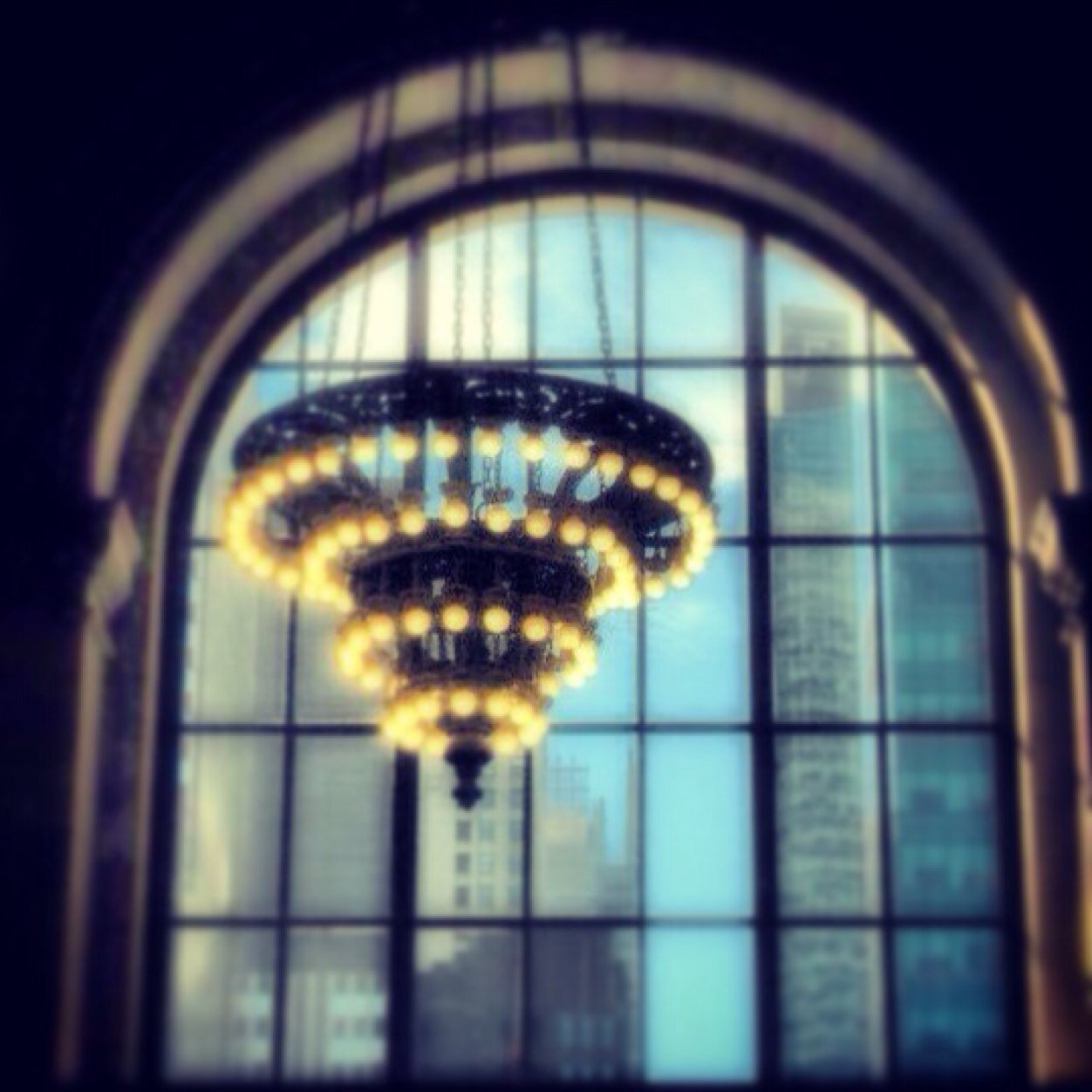 sorzfurla's profile picture. Nulla è come appare