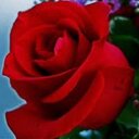 DANIELLE AMORIM - @Dany90amor - Twitter