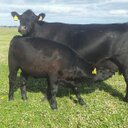 mark fairlie - @MarkFairlie - Twitter