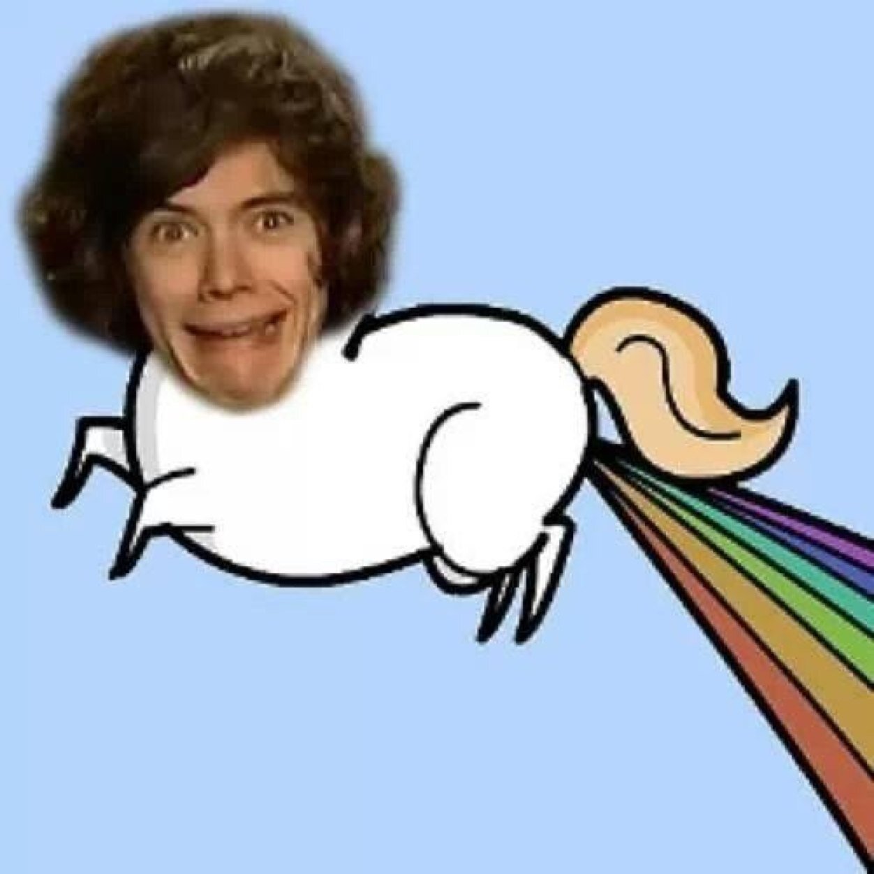 FREE FOLLOW PROVIDED BY @ohlarrystagram SO PLS FOLLOW SHE FOLLOWS BACK