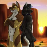Lace or Roan (@laceaurora) 's Twitter Profile