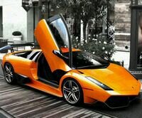 izhail19's profile picture. 