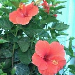 jerry87413's profile picture. 