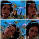 Violeta Cantú J. - @Violeta_canta - Twitter