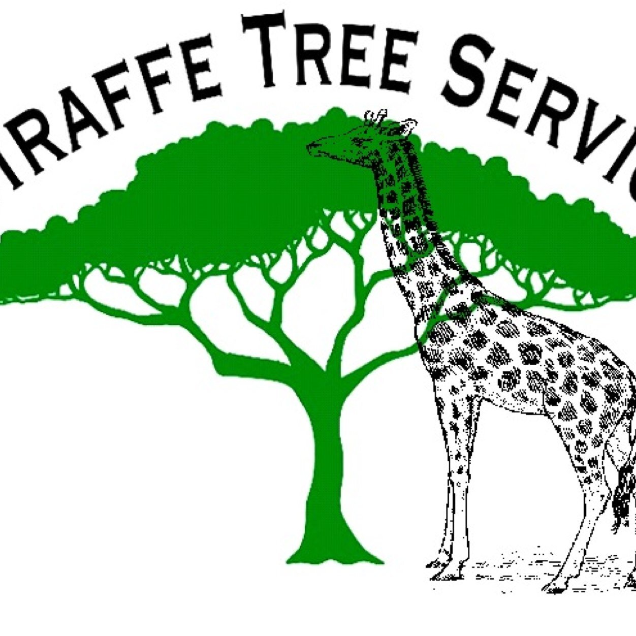 Family Owned Business! 
Your Trees, Your Property Our Priority!!
We are professional Tree Trimmer.