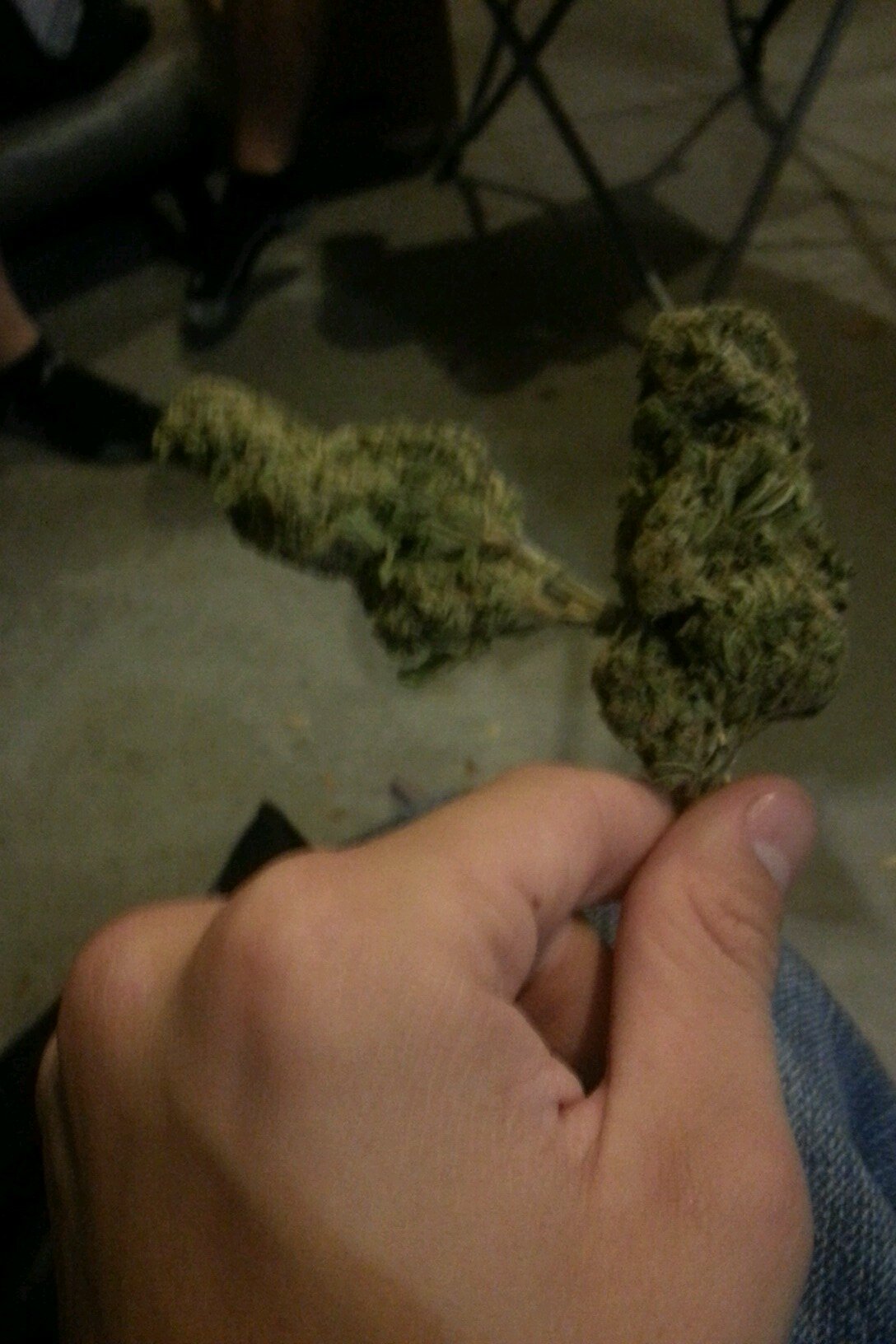 9203955433 hmu for dank
